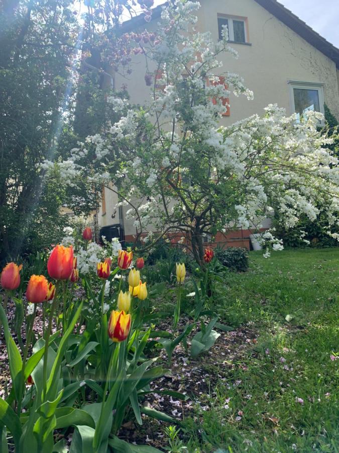 Apartament Blumenblick Rielasingen-Worblingen Екстер'єр фото