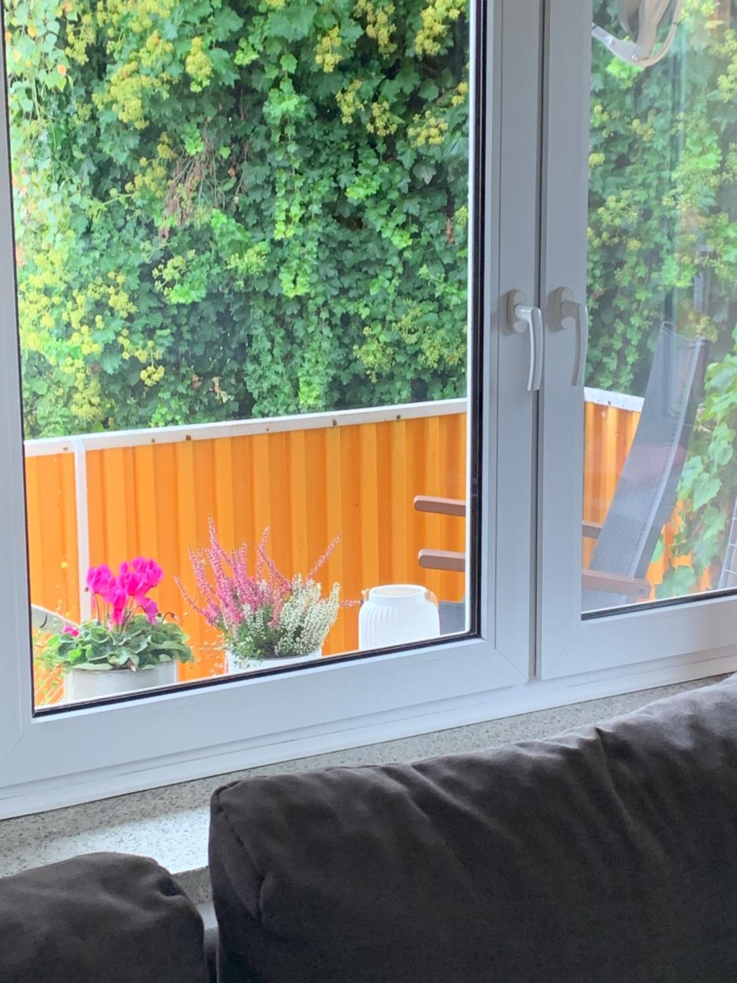 Apartament Blumenblick Rielasingen-Worblingen Екстер'єр фото
